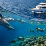 Sataya Reef SSA